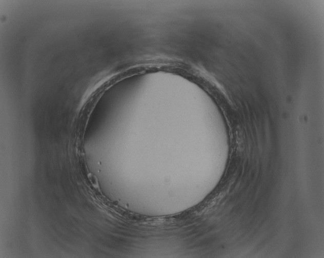 X0000073411352200608251514