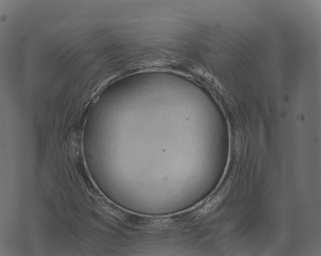 X0000073411353200608251514