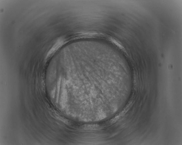 X0000073411354200608251514