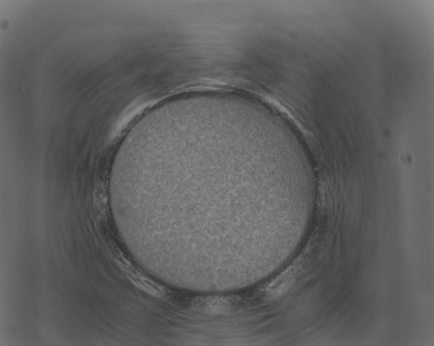 X0000073411355200608251514