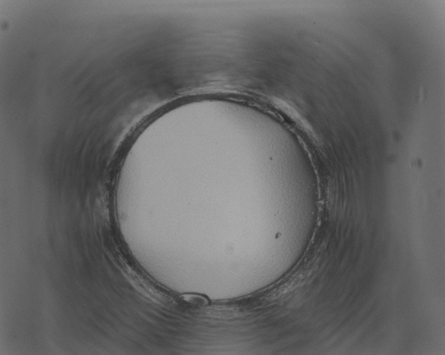 X0000073411356200608251514