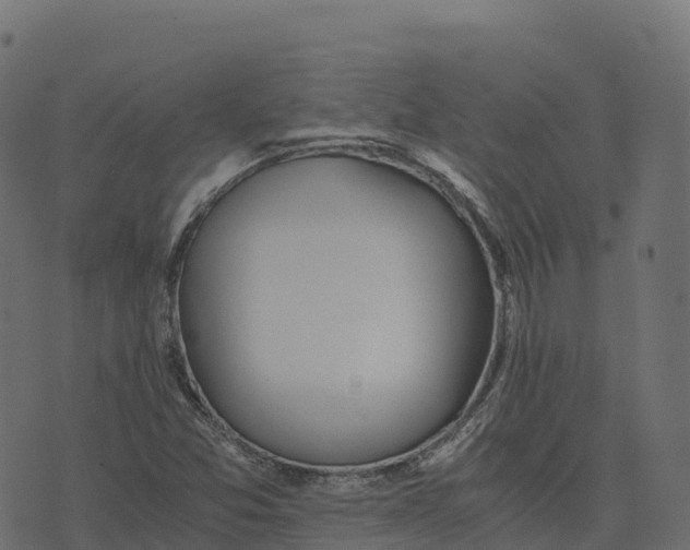 X0000073411357200608251514