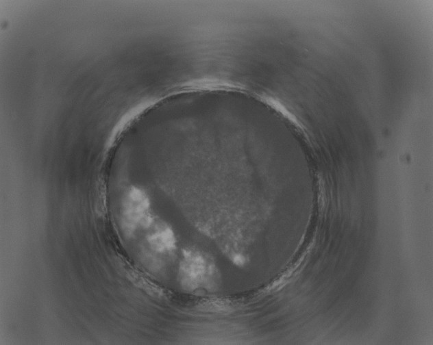 X0000073411358200608251514