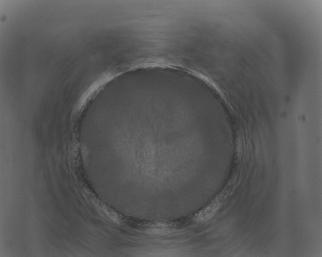 X0000073411359200608251514