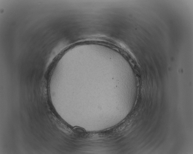 X0000073411360200608251514