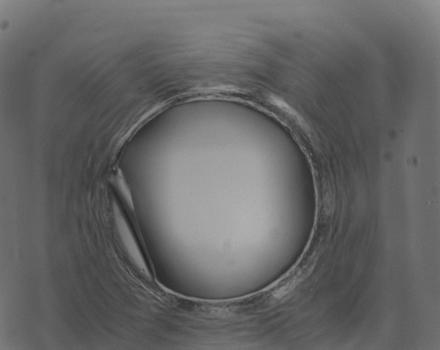 X0000073411361200608251514