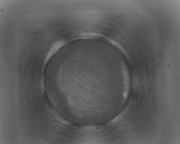 X0000073411362200608251514