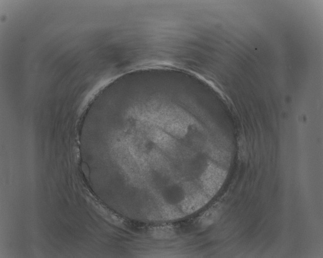 X0000073411363200608251514