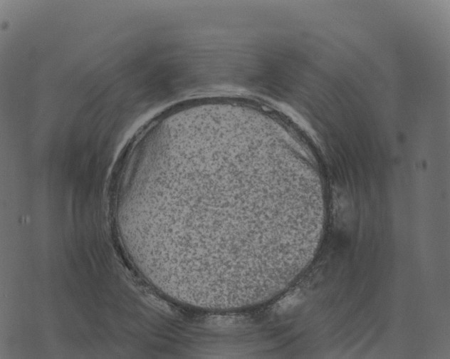 X0000073411364200608251514