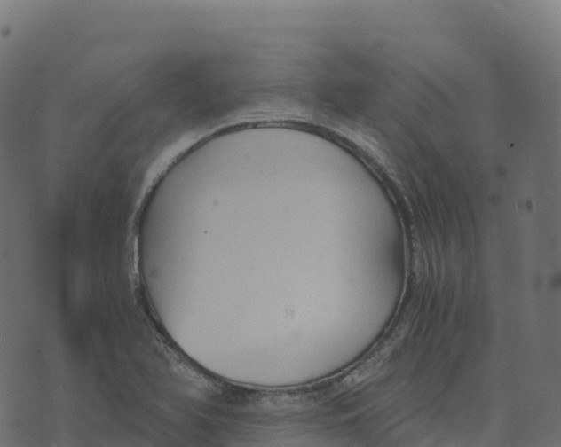 X0000073411366200608251514