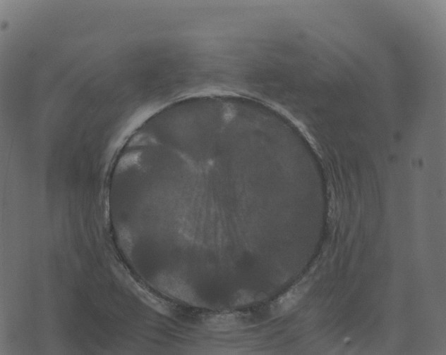 X0000073411367200608251514