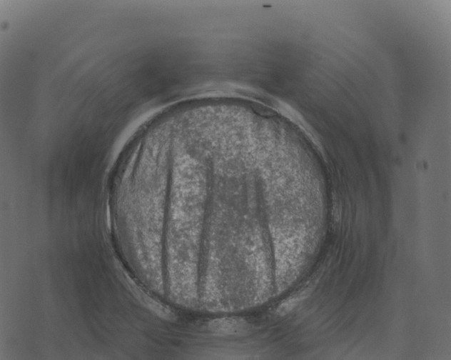 X0000073411368200608251514