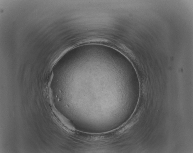 X0000073411369200608251514