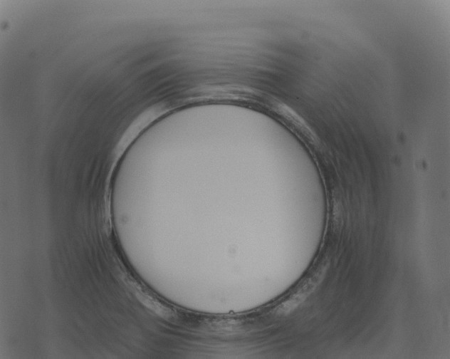 X0000073411370200608251514