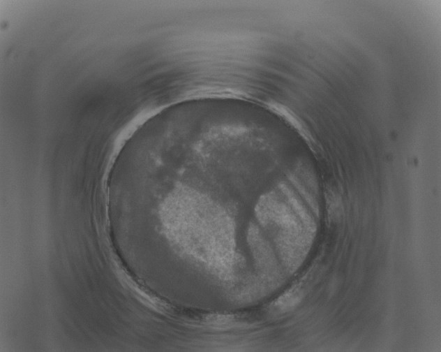 X0000073411371200608251514