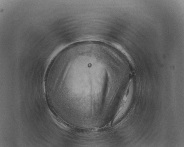 X0000073411372200608251514