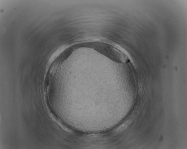 X0000073411373200608251514