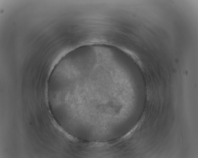 X0000073411374200608251514