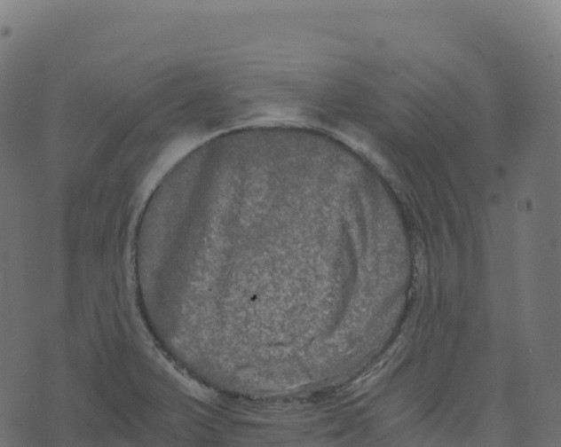 X0000073411375200608251514