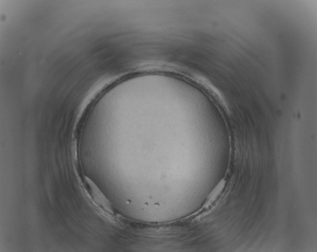 X0000073411376200608251514