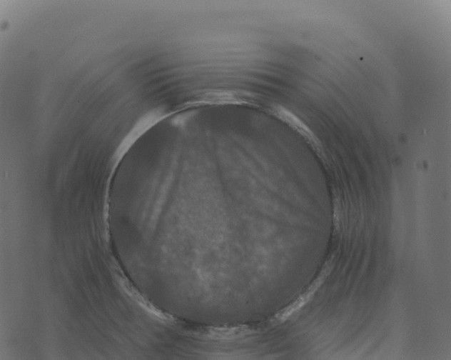 X0000073411378200608251514