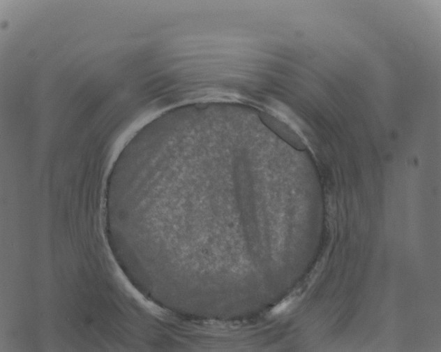 X0000073411379200608251514