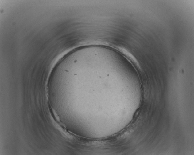 X0000073411380200608251514