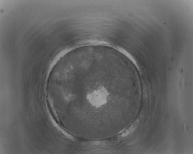 X0000073411381200608251514