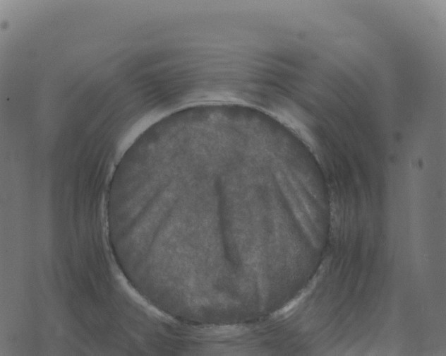 X0000073411382200608251514