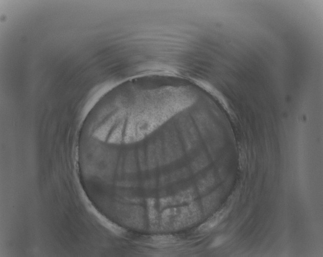 X0000073411383200608251514