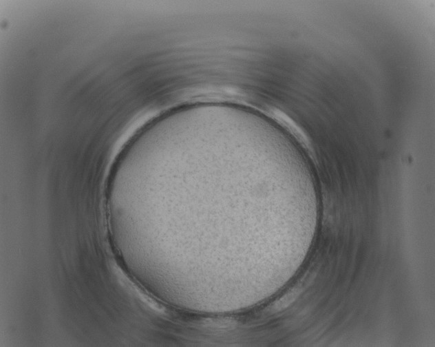 X0000073411384200608251514