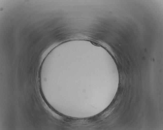 X0000073411387200608251514