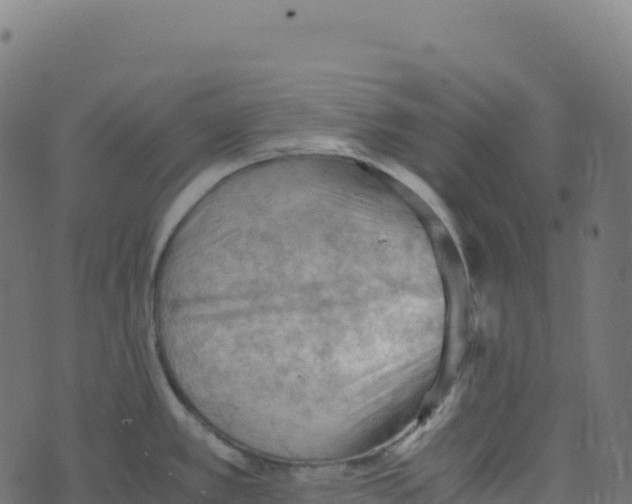 X0000073411389200608251514