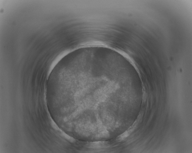 X0000073411390200608251514