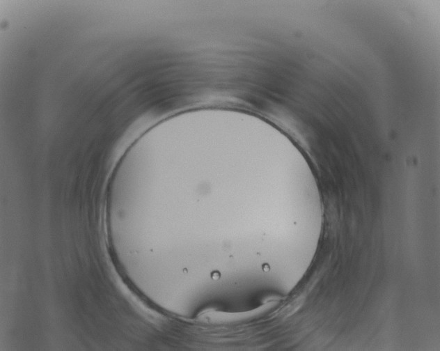 X0000073411391200608251514