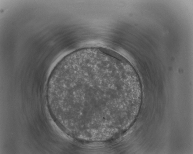 X0000073411392200608251514