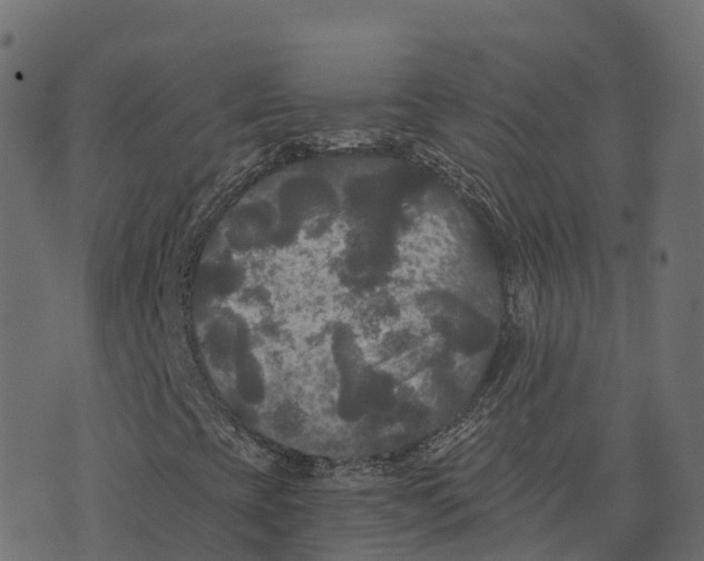 X0000073411393200608251513