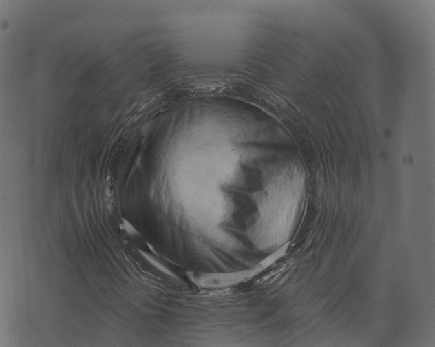 X0000073411394200608251513