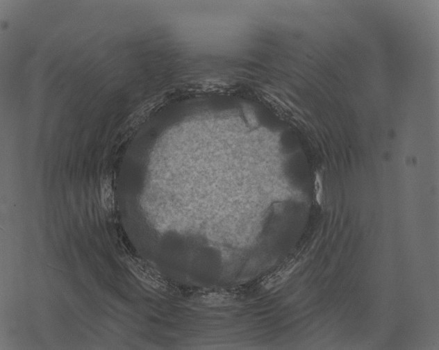 X0000073411395200608251513