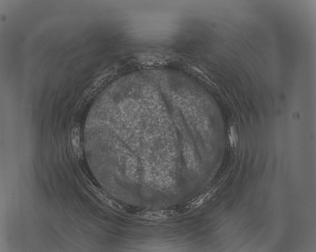 X0000073411396200608251513