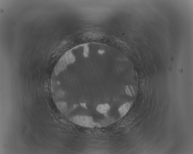 X0000073411397200608251513