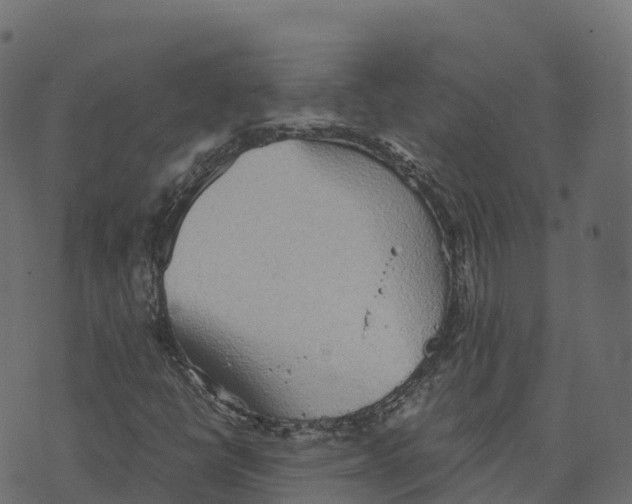 X0000073411398200608251513