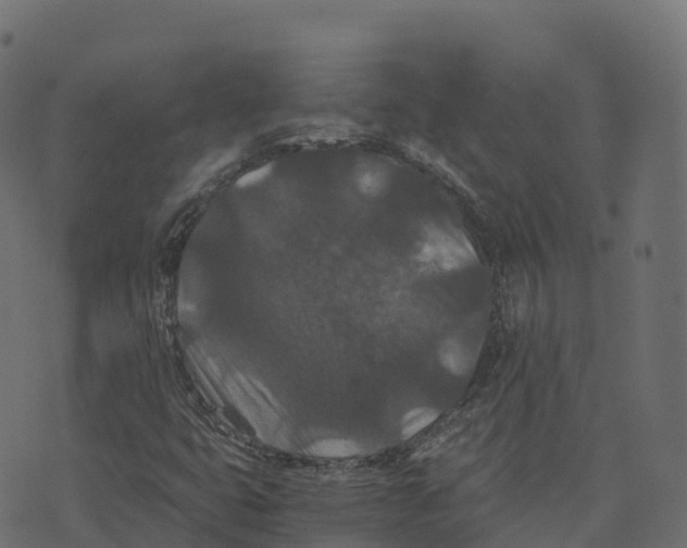 X0000073411399200608251513