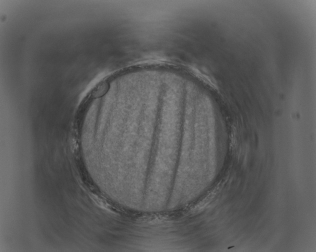 X0000073411400200608251513