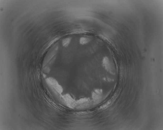 X0000073411401200608251513