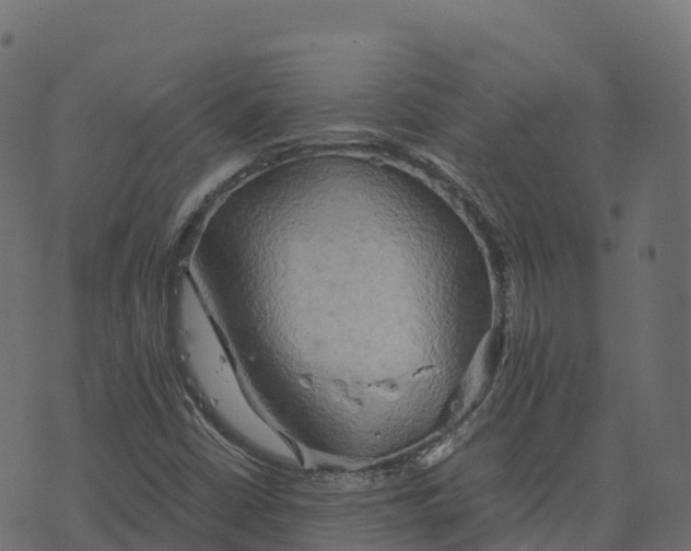 X0000073411402200608251513