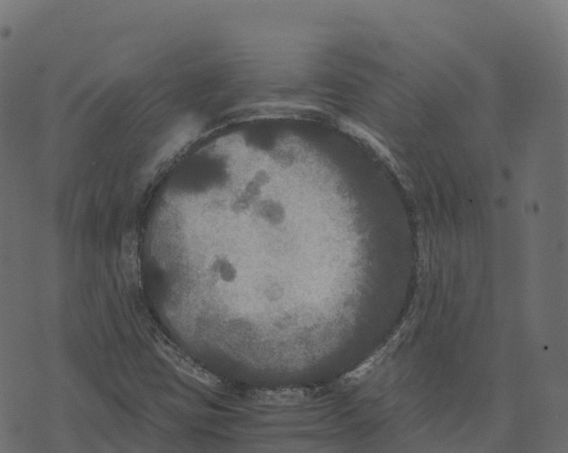 X0000073411403200608251513