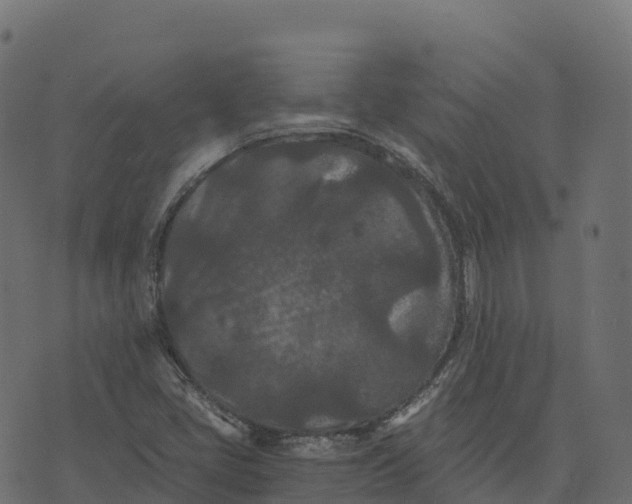 X0000073411405200608251513