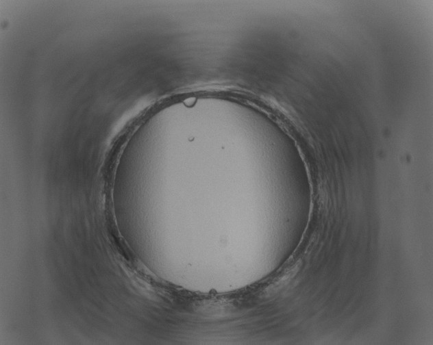 X0000073411406200608251513