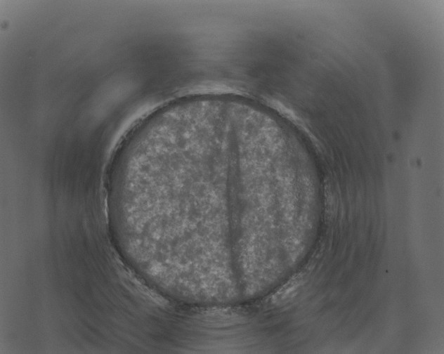 X0000073411408200608251513